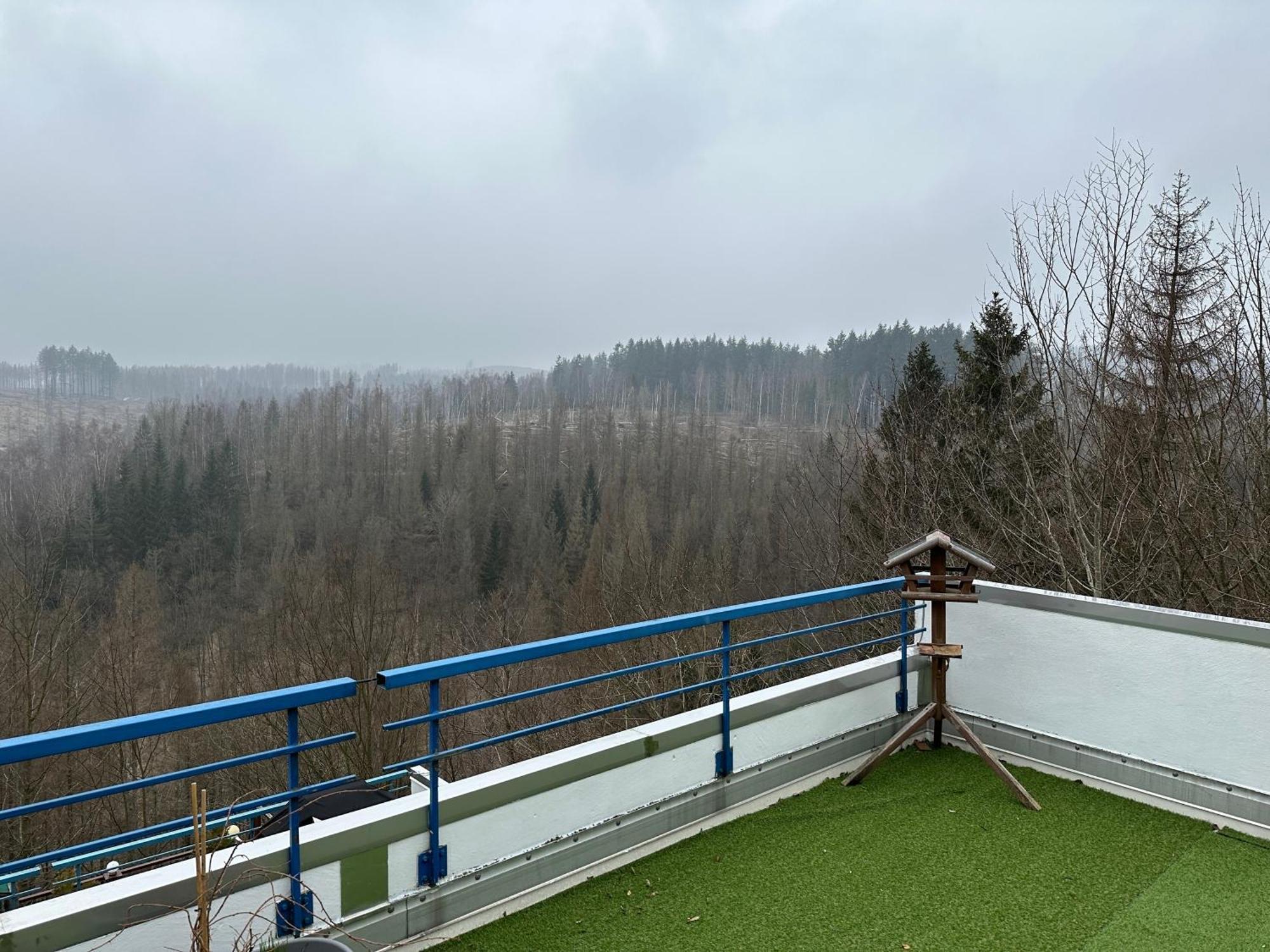 Ferienwohnung Harz #4, Pool, Sauna, Wlan Braunlage Dış mekan fotoğraf