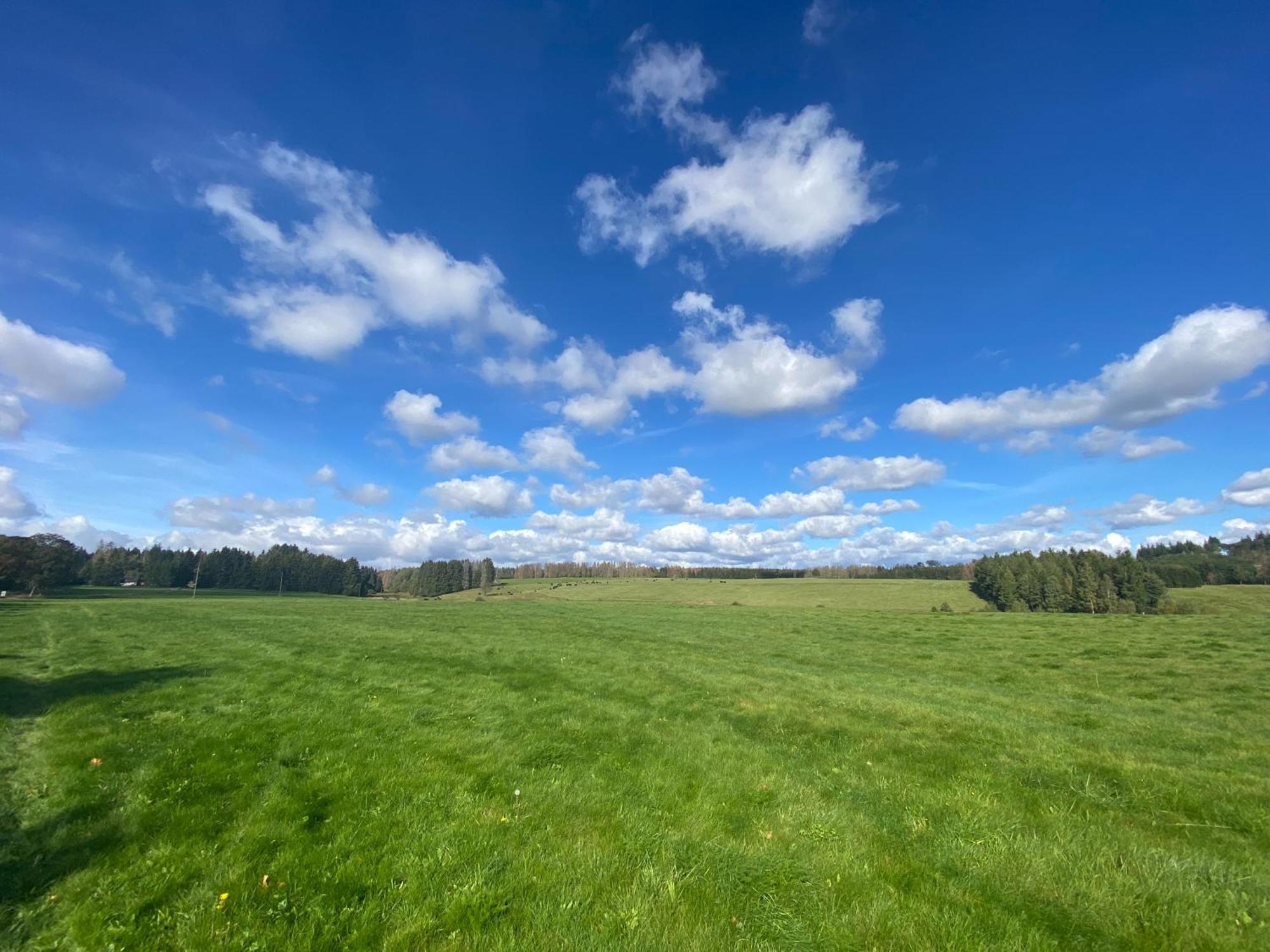 Ferienwohnung Harz #4, Pool, Sauna, Wlan Braunlage Dış mekan fotoğraf